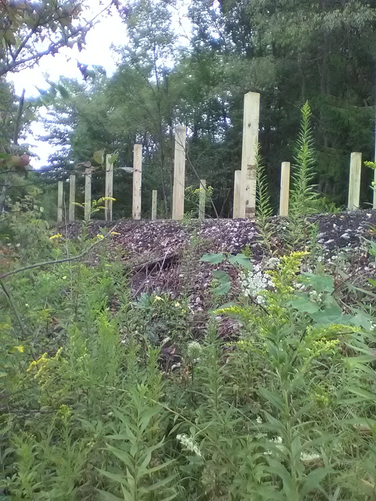  Post and rails being added in August 2023 near Lantz Corners. 