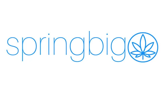 Springbig