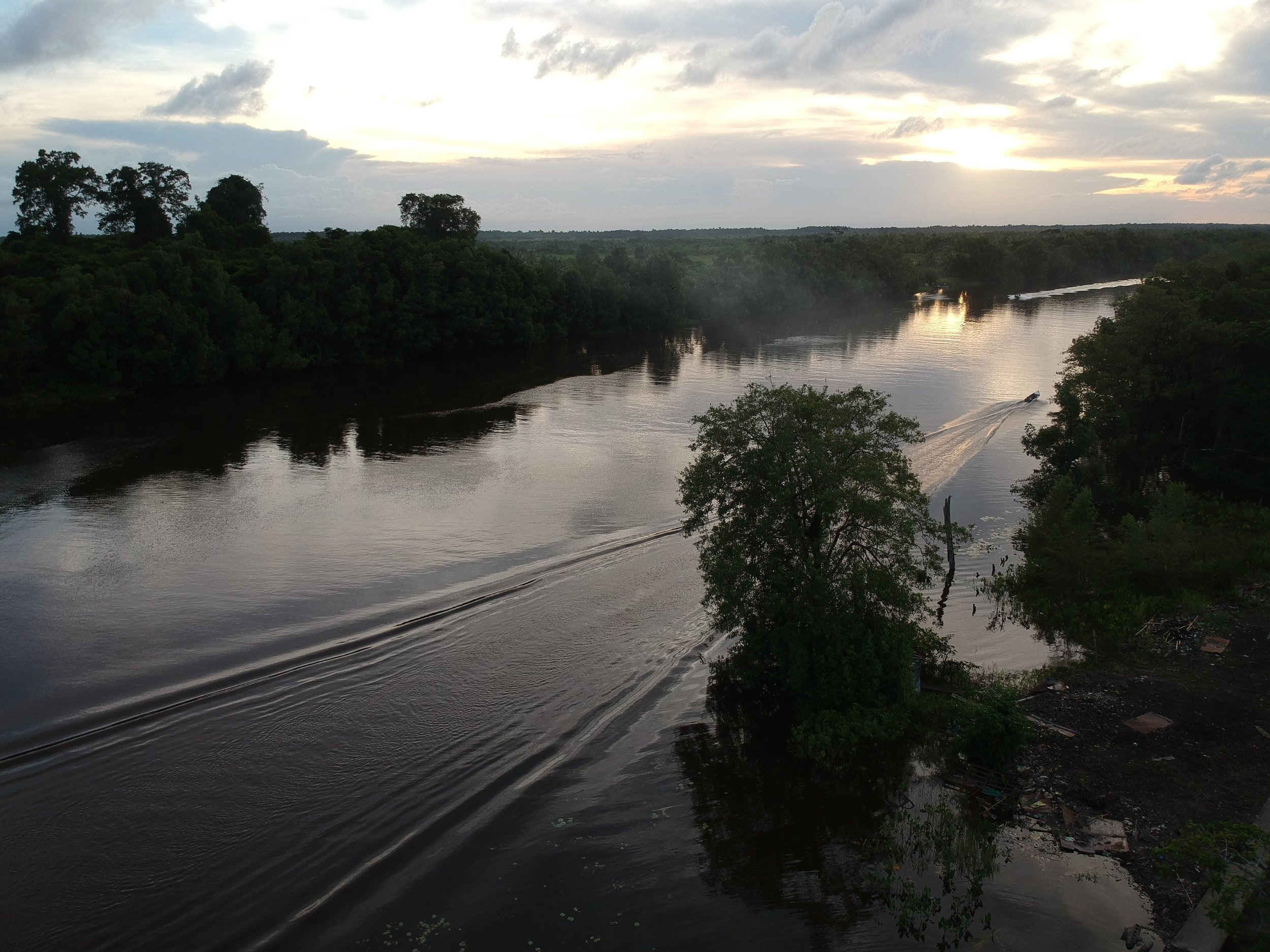 Nested on the Pomeroon River, we had a busy 2018...
