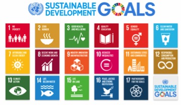 UN Sustainability Goals.jpg