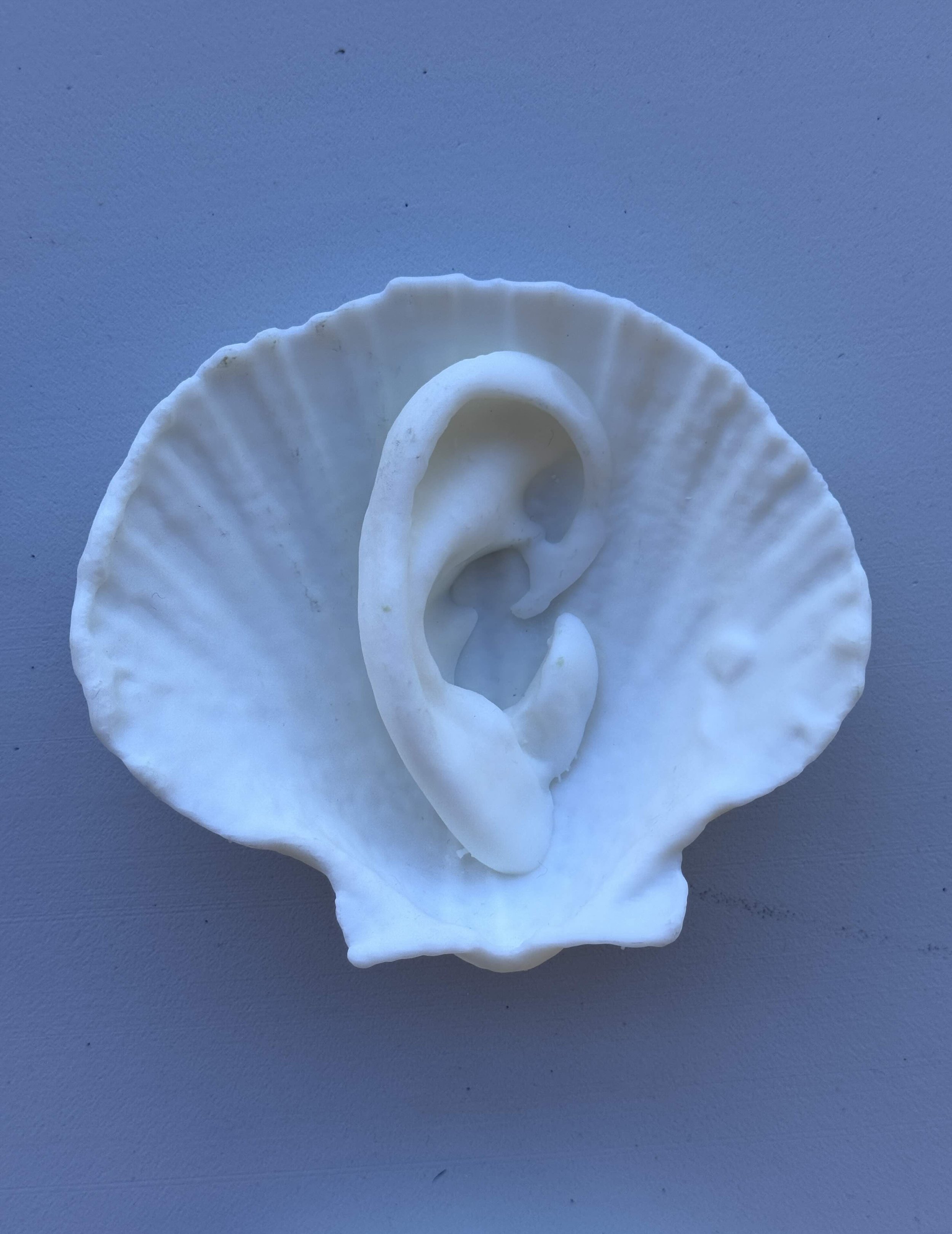 organic hearing device (2026)