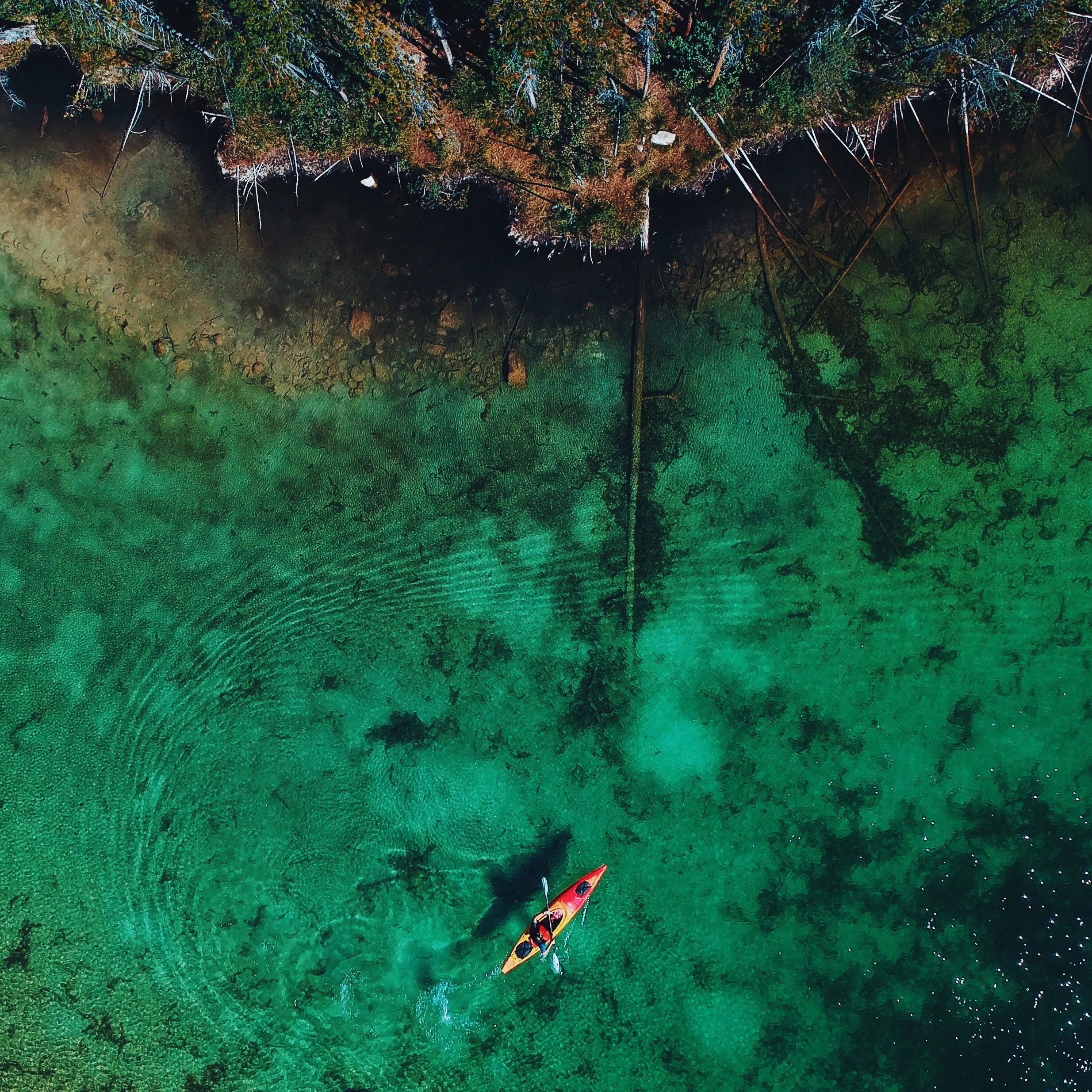 Photo by Tyler Stalman