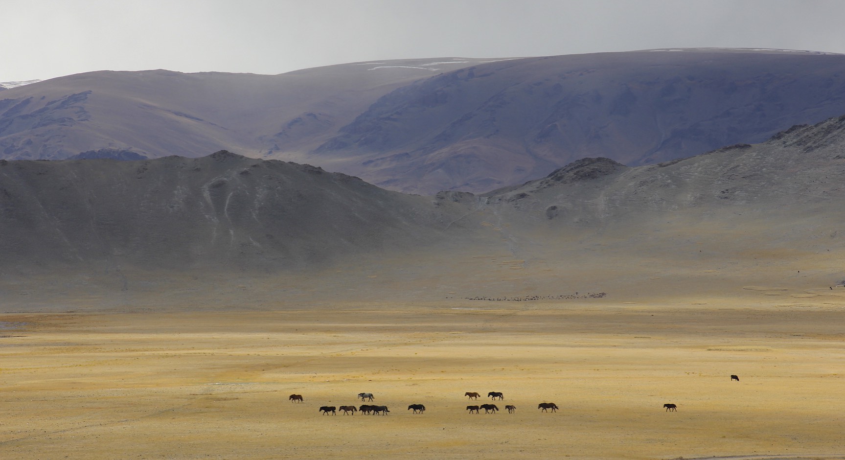 Western Mongolia