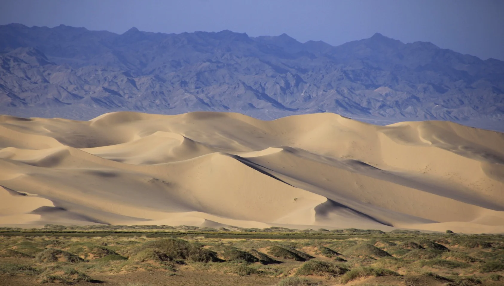 The Gobi
