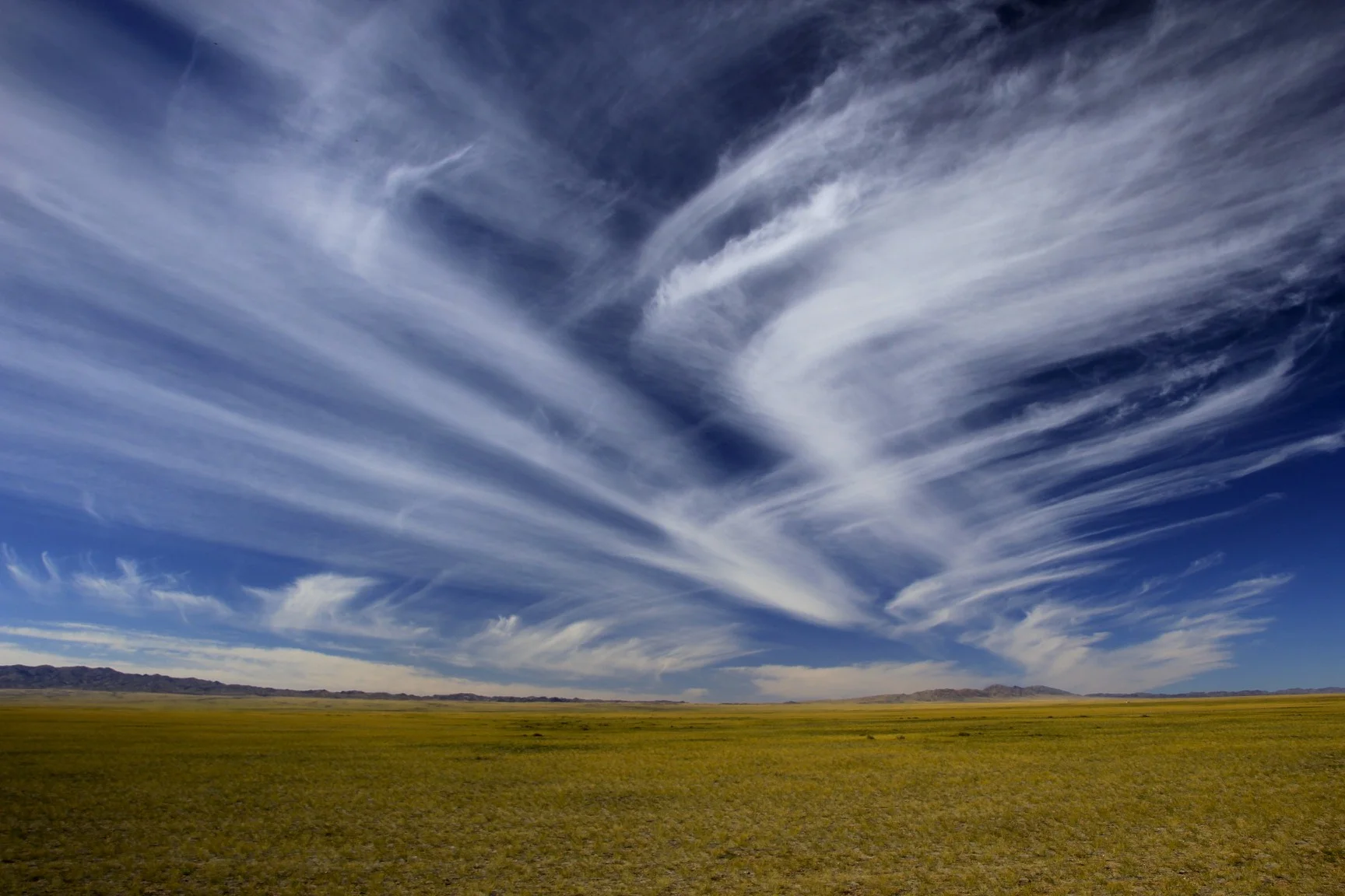 The Gobi