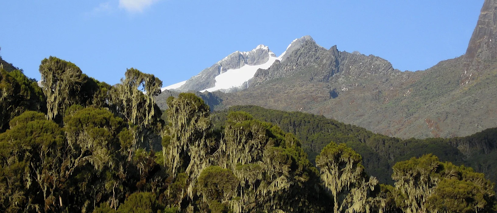 Mt. Margarita 5,109m from John Matte Hut
