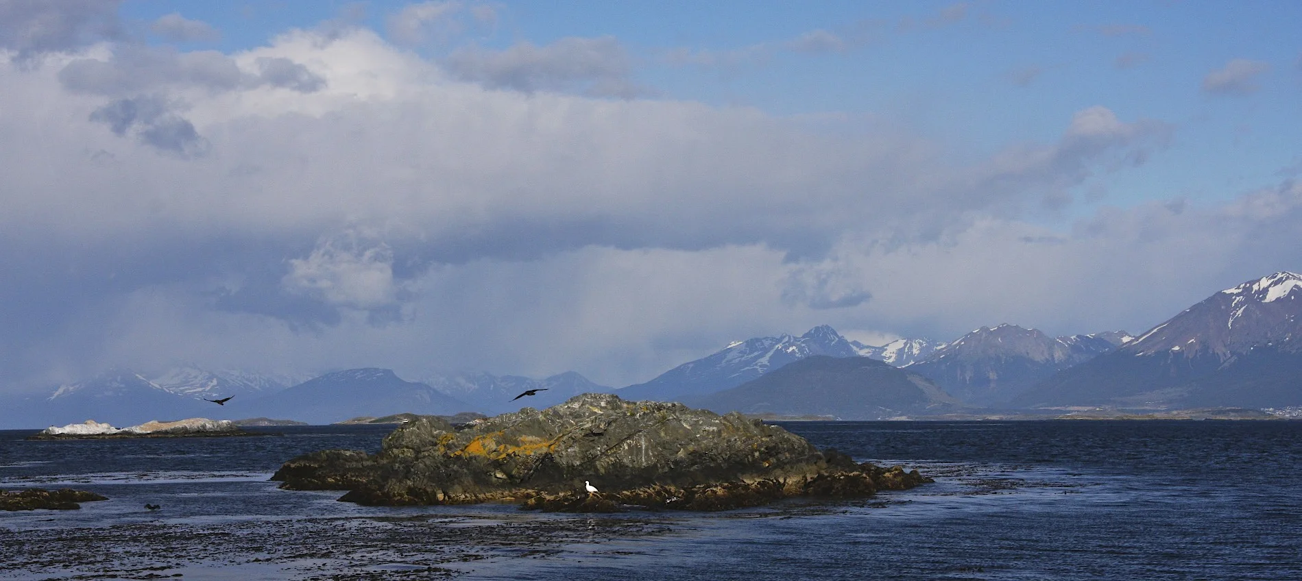 Along the Beagle Channel