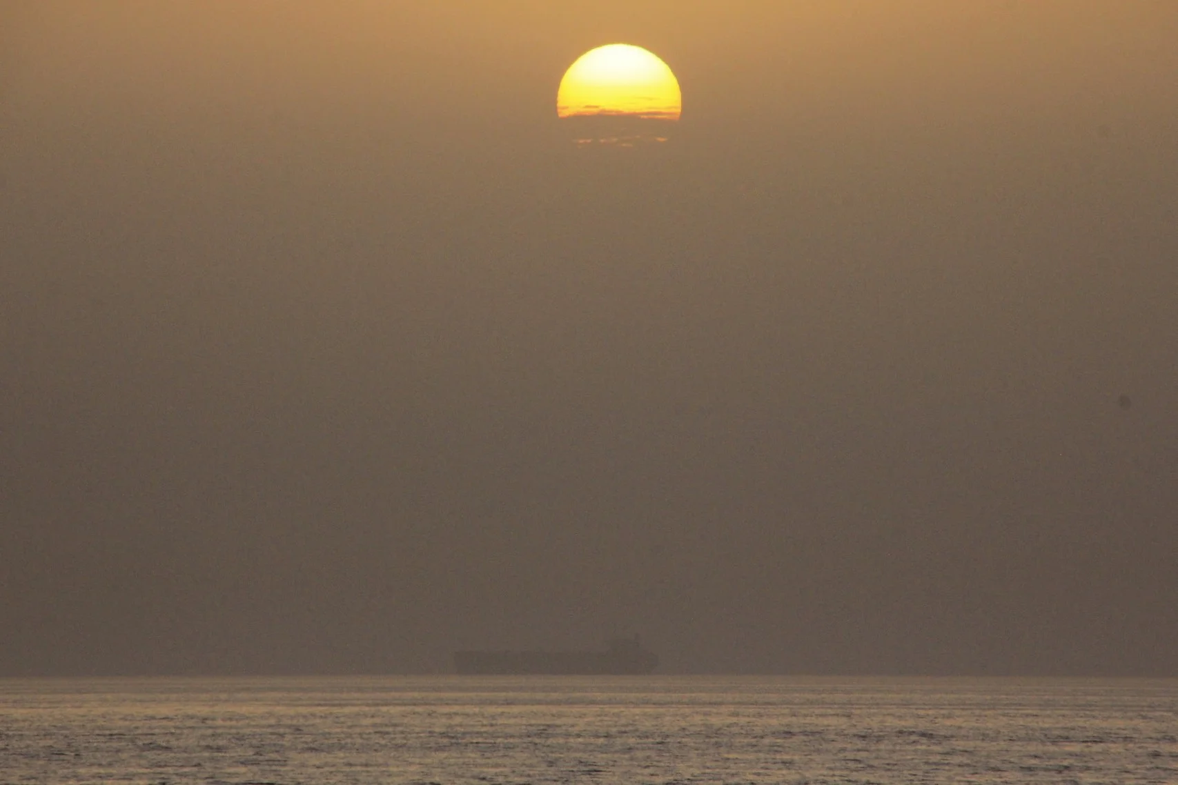 The Gulf