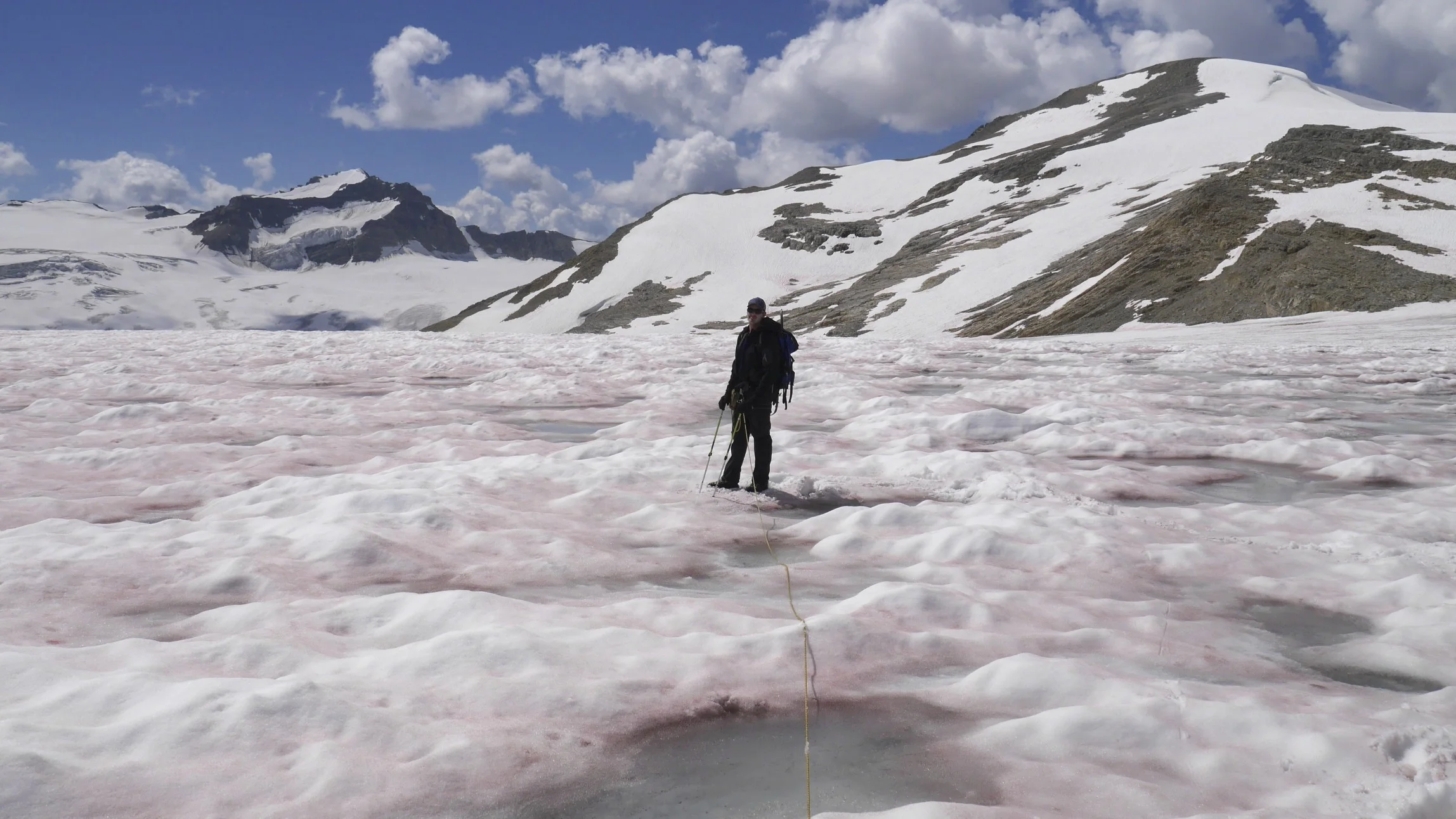 Pink snow on the Wapta Icefield