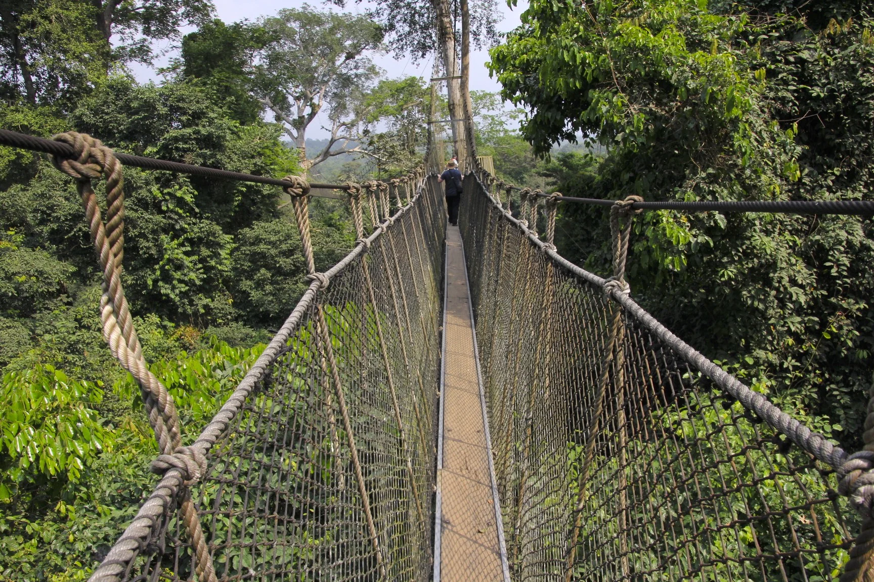 Kakum National Park Canopy walk