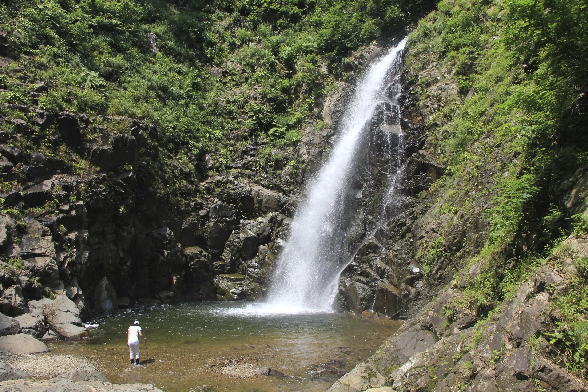 Shirakami Mountains, Japan