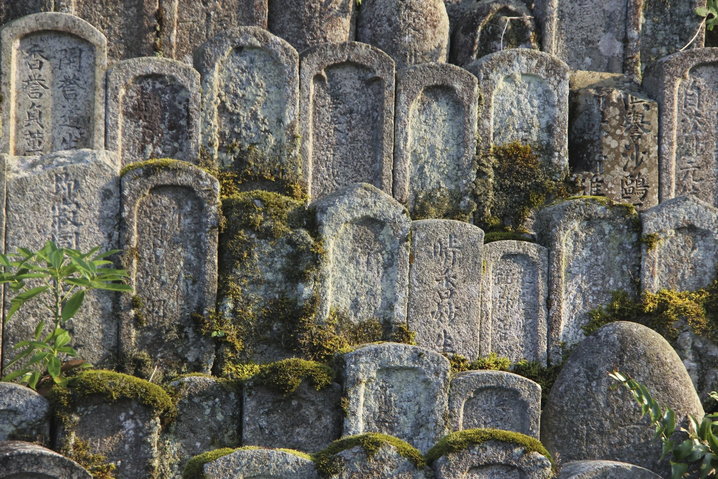 Japanese cemetery 