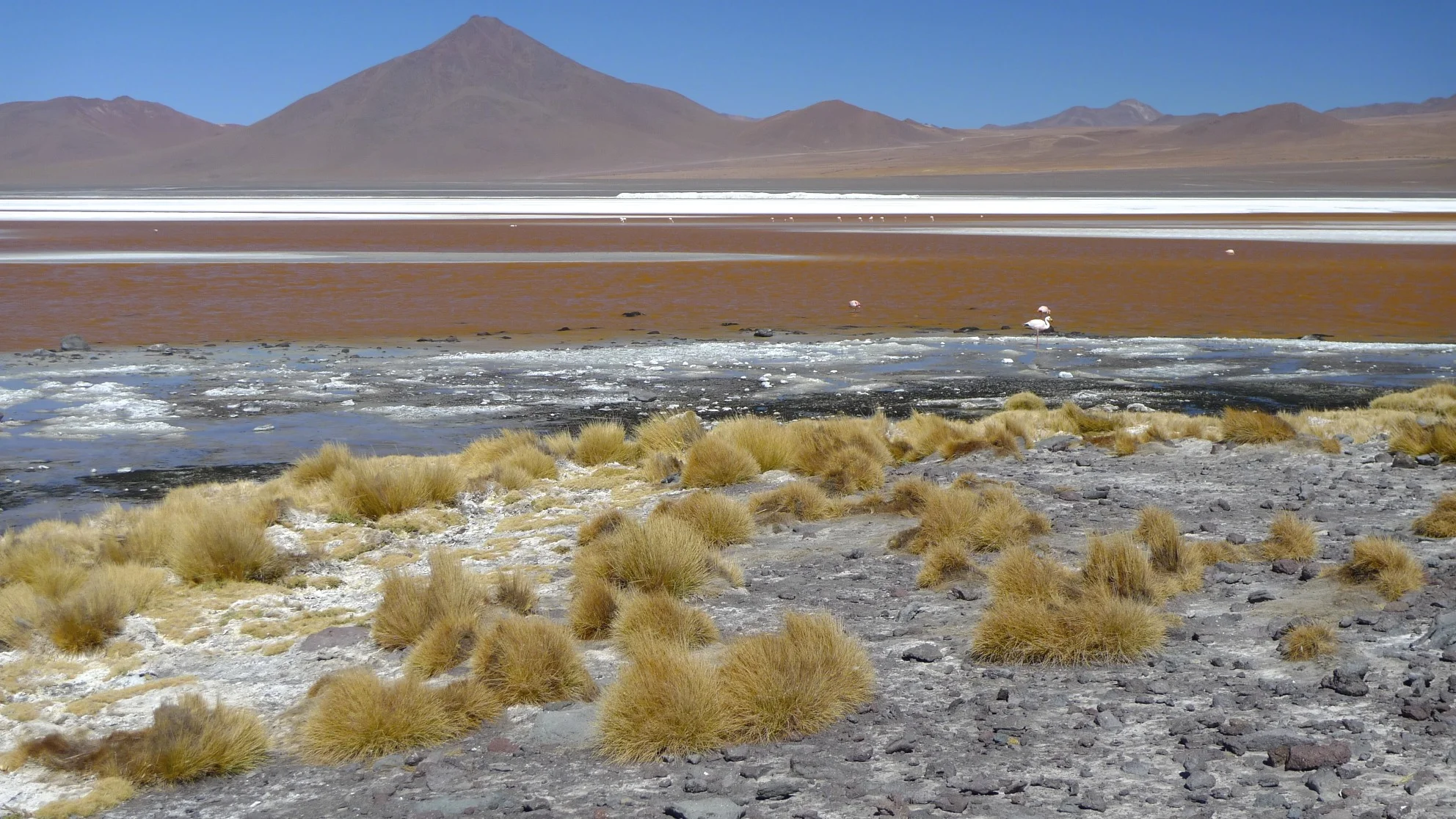 Laguna Colorada 4,278m