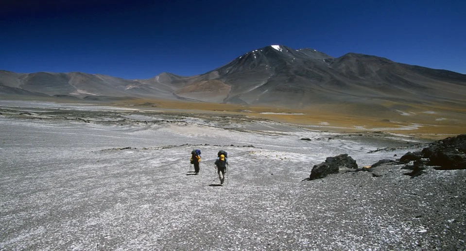 Hard work at 5000m