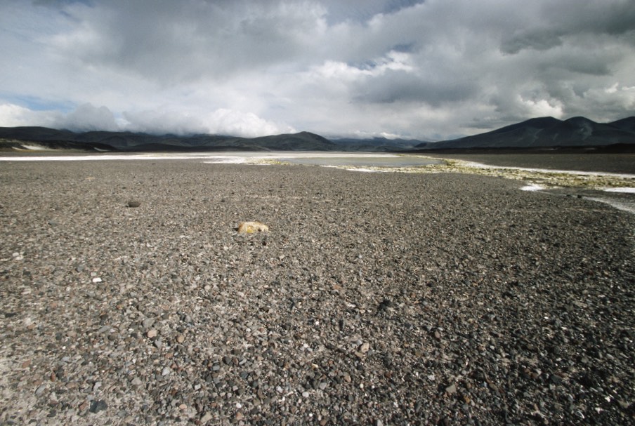 The Atacama - the driest place on earth