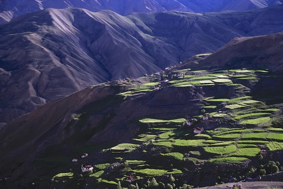 Fields around Lingshed 3,882m