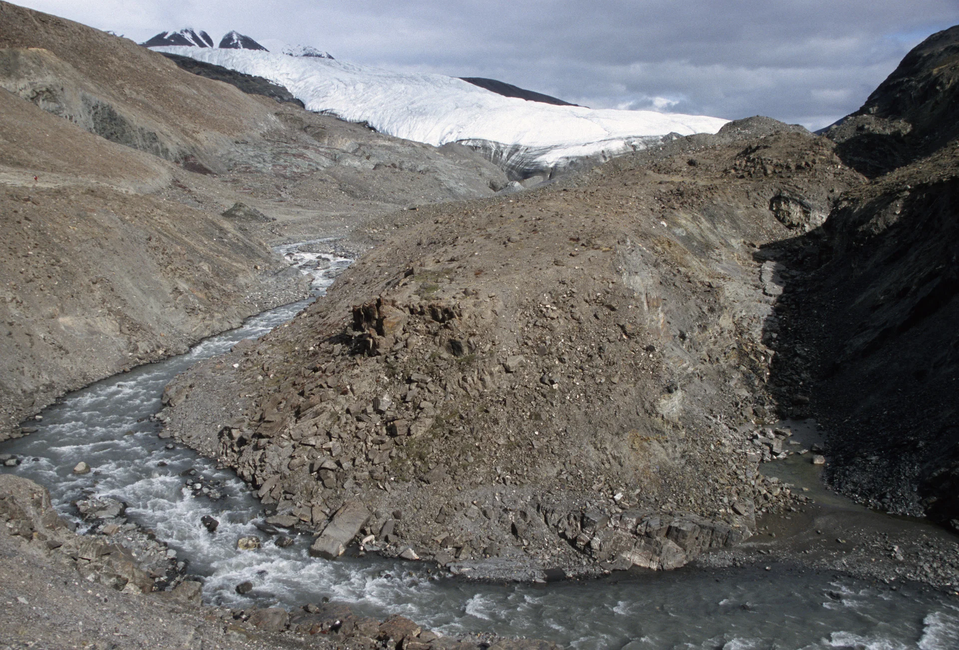 Adams Glacier
