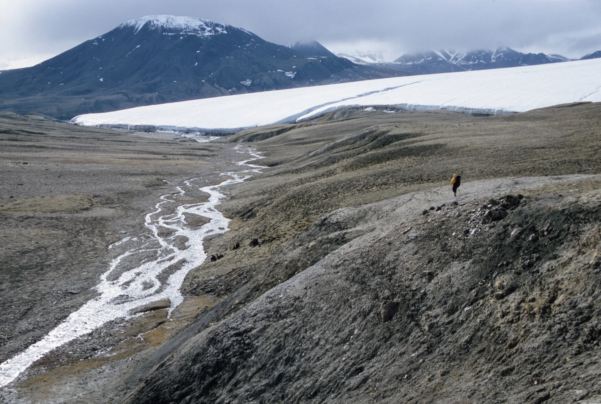 Turnstone Glacier