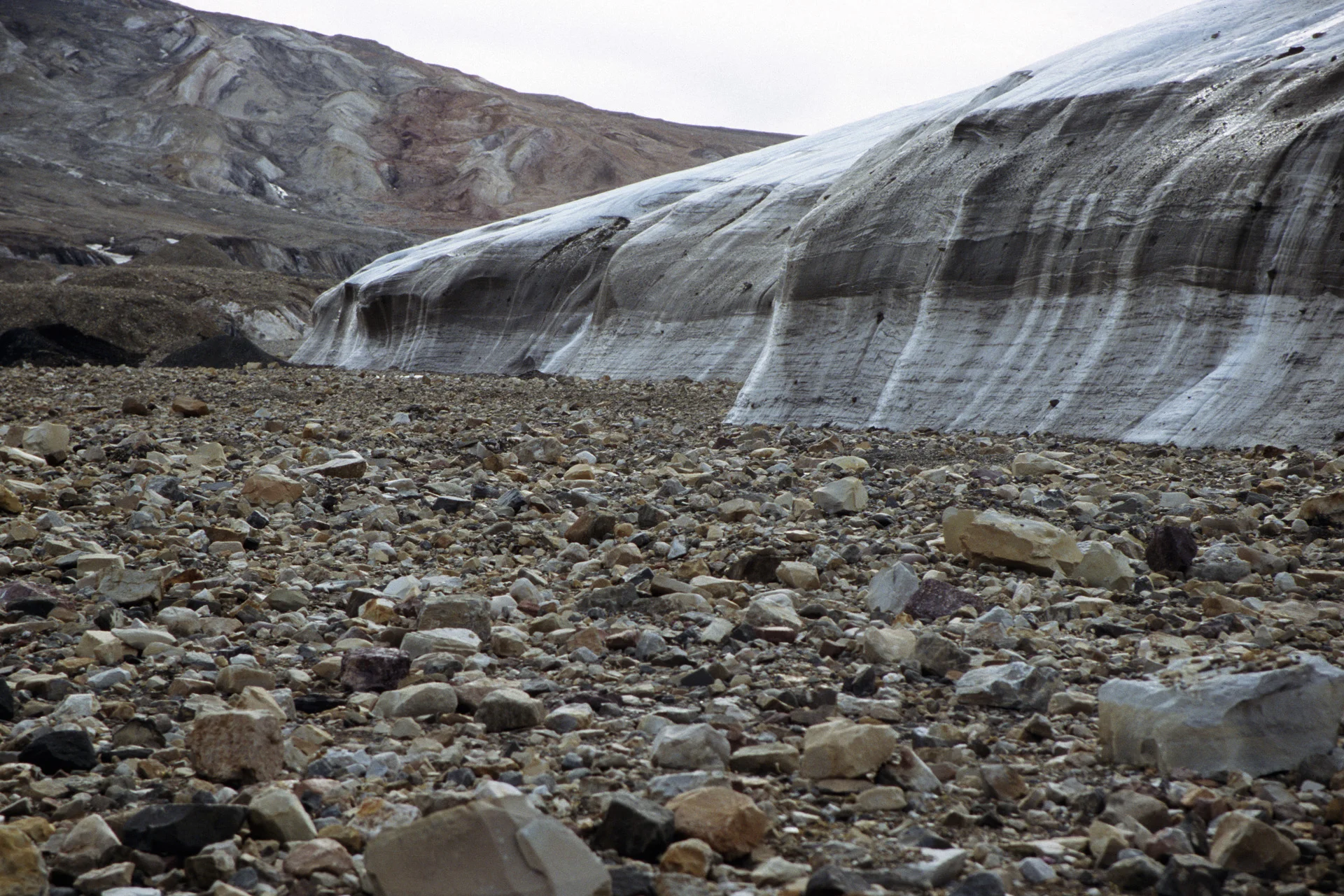 Turnstone Glacier