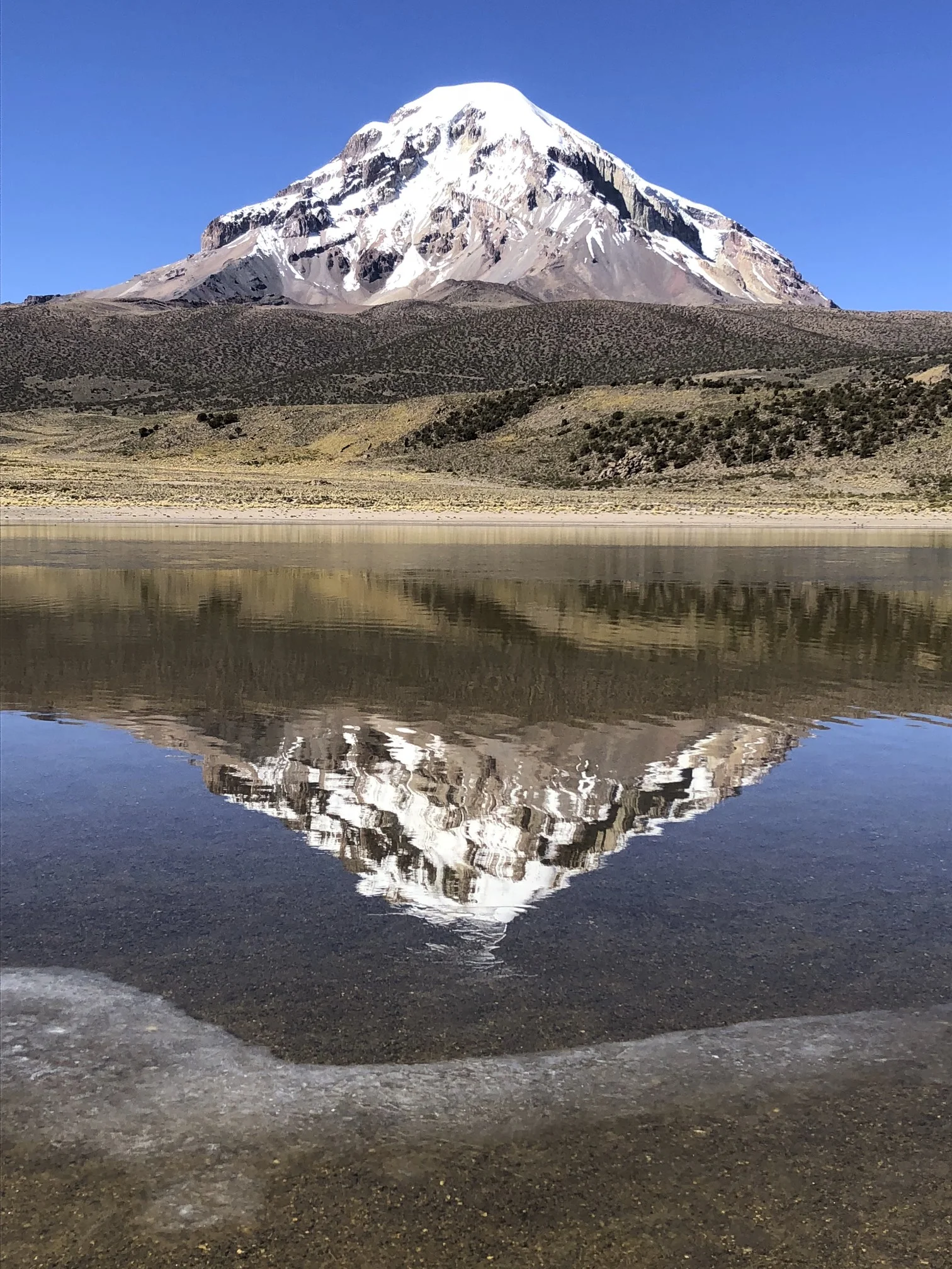 Sajama