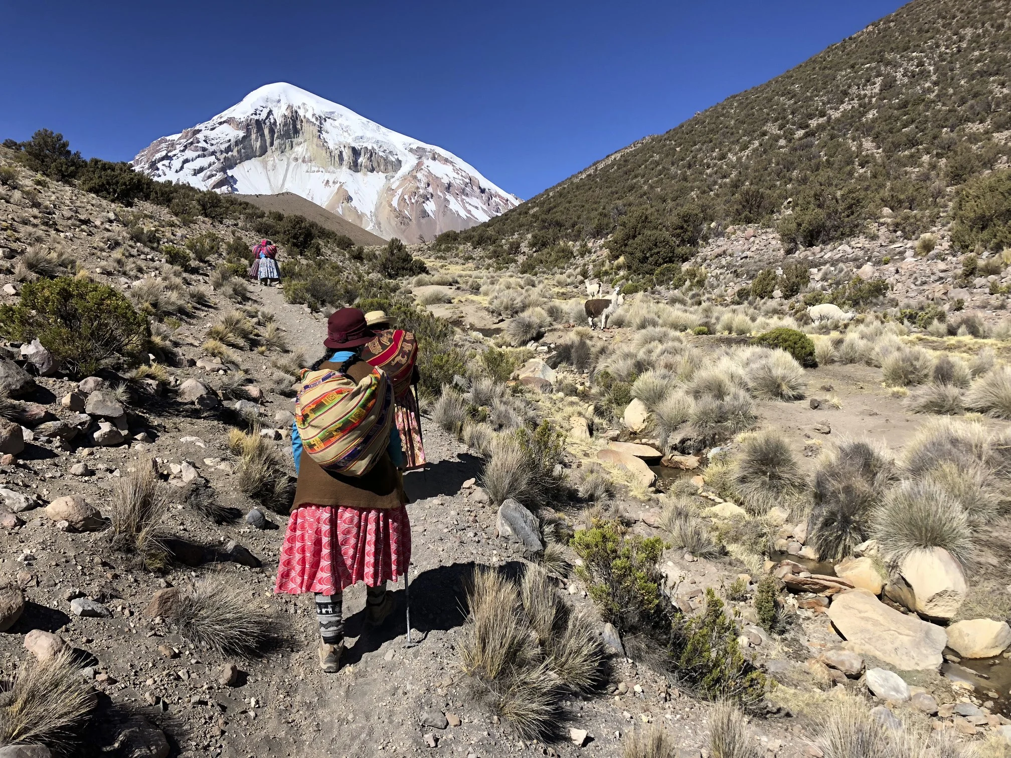 The trail to the BC of Sajama. I met Cholitas Escaladoras who were climbing Sajama.