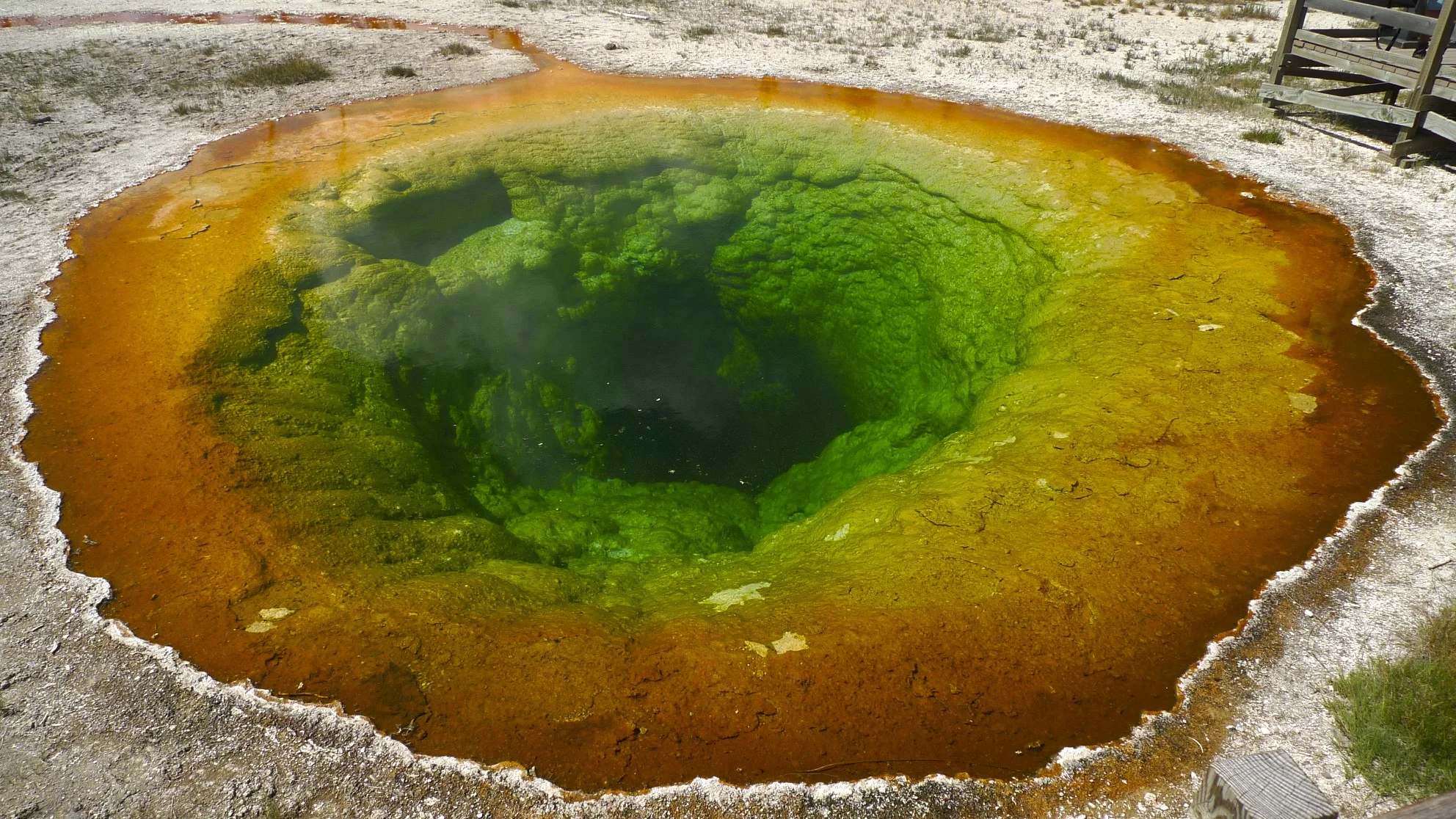 Morning Glory Pool