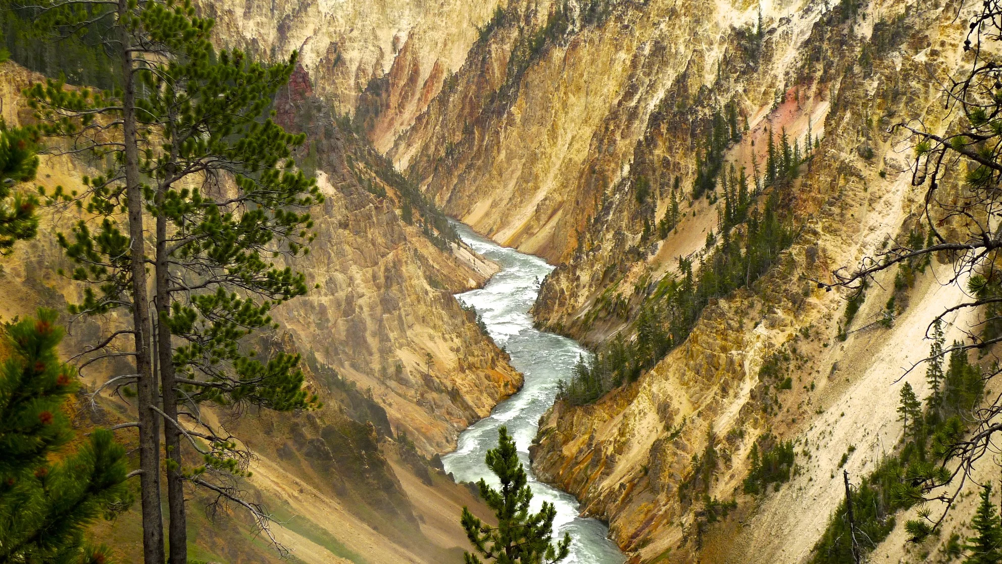 The Canyon of Yellowstone