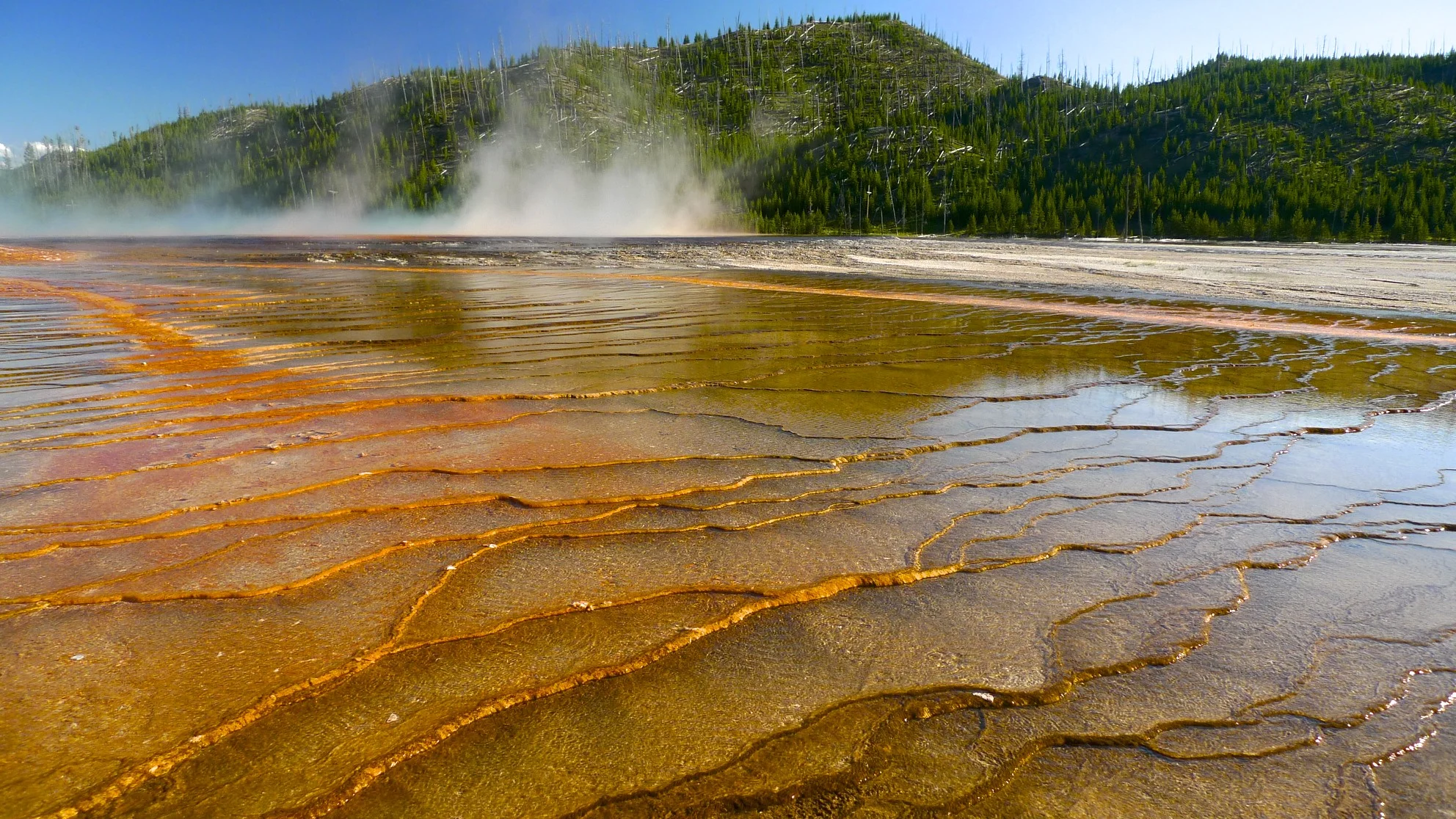 Great Prismatic Spring