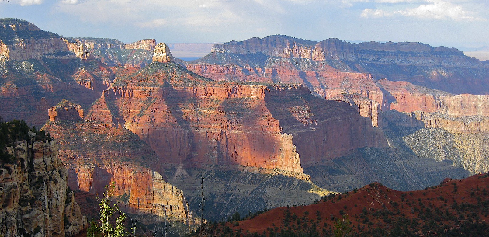 The Grand Canyon North Rim