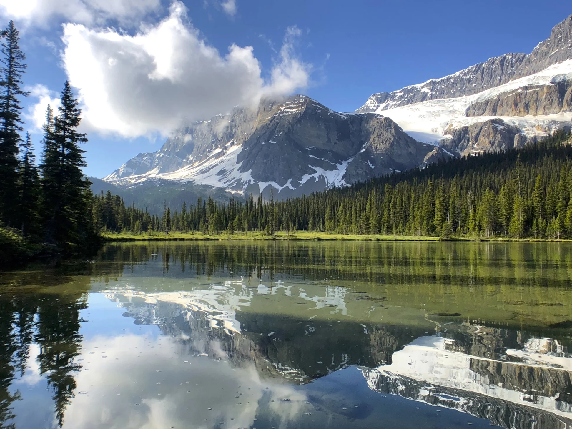 Bow Lake
