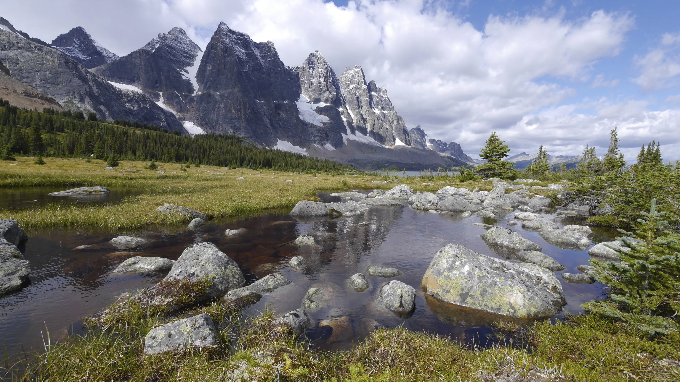 2013-08-20 at 12-17-15.jpg