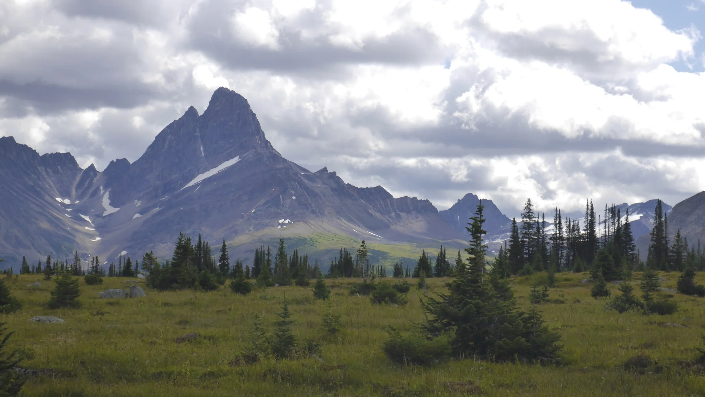2013-08-20 at 12-32-34.jpg