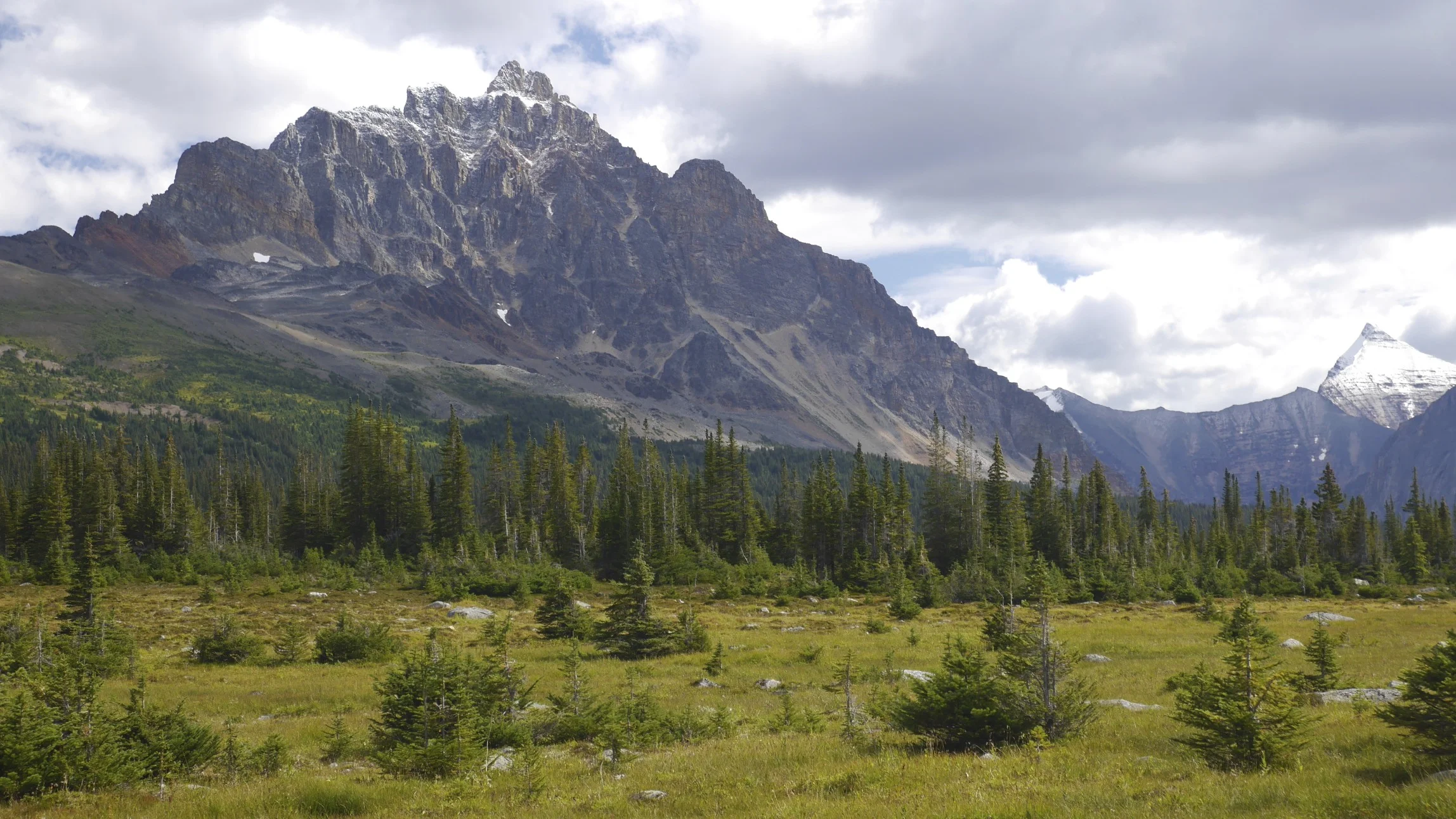 2013-08-20 at 12-38-39.jpg