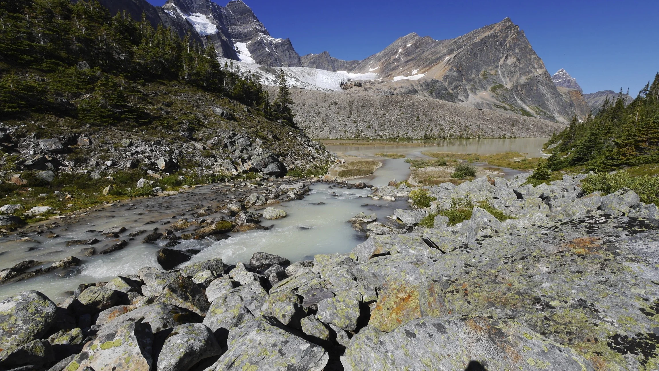 2013-08-21 at 11-39-36.jpg