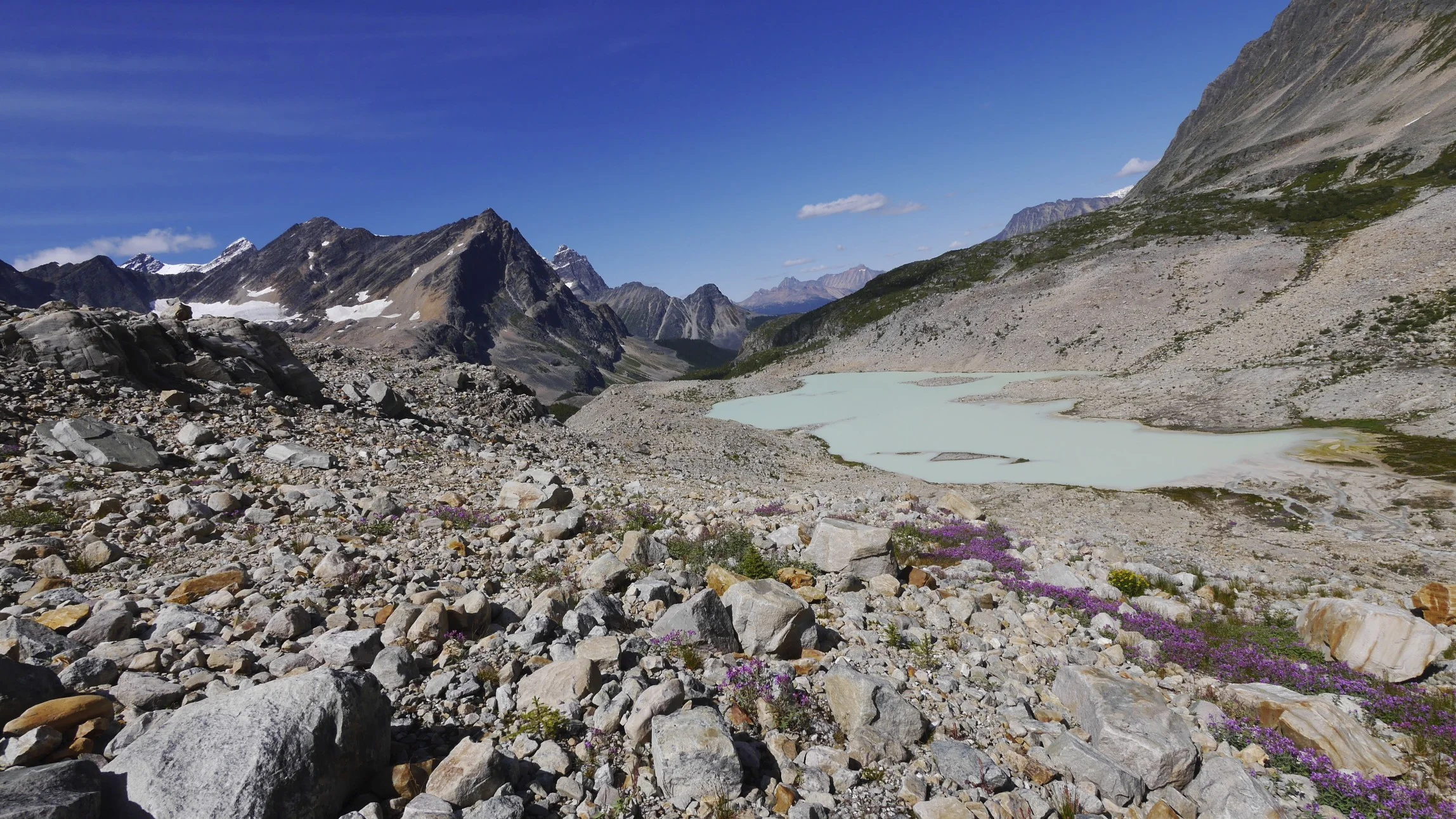 2013-08-21 at 14-19-04.jpg