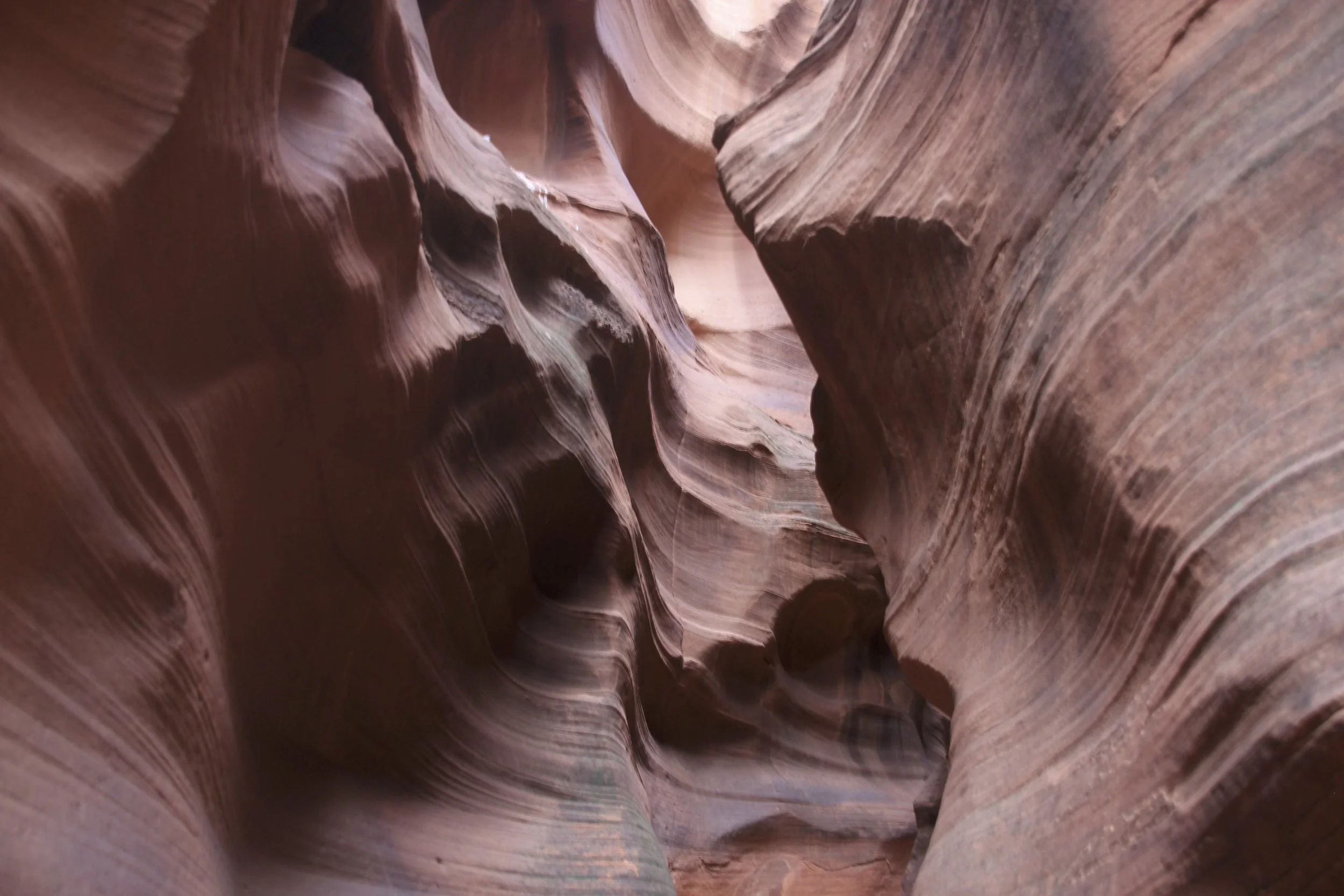 Rattlesnake Canyon
