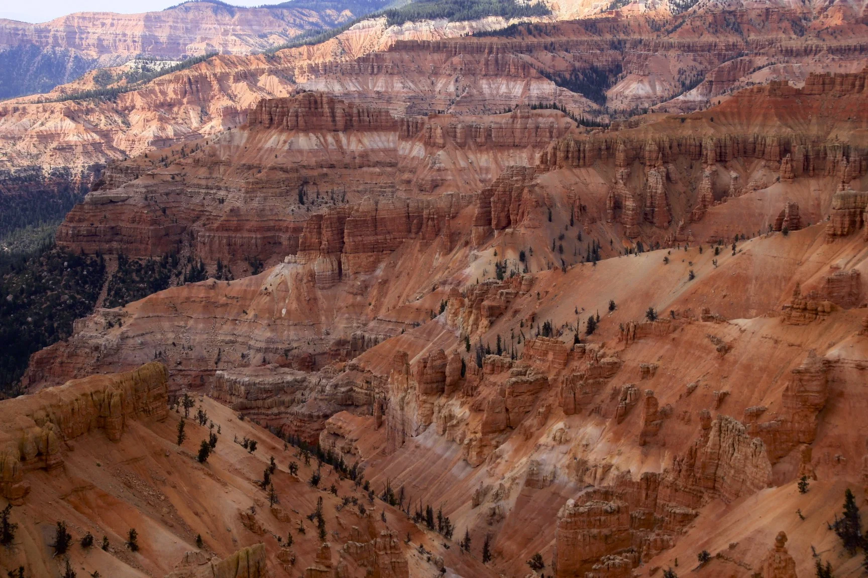 Cedar Breaks at 10,000 ft elevation