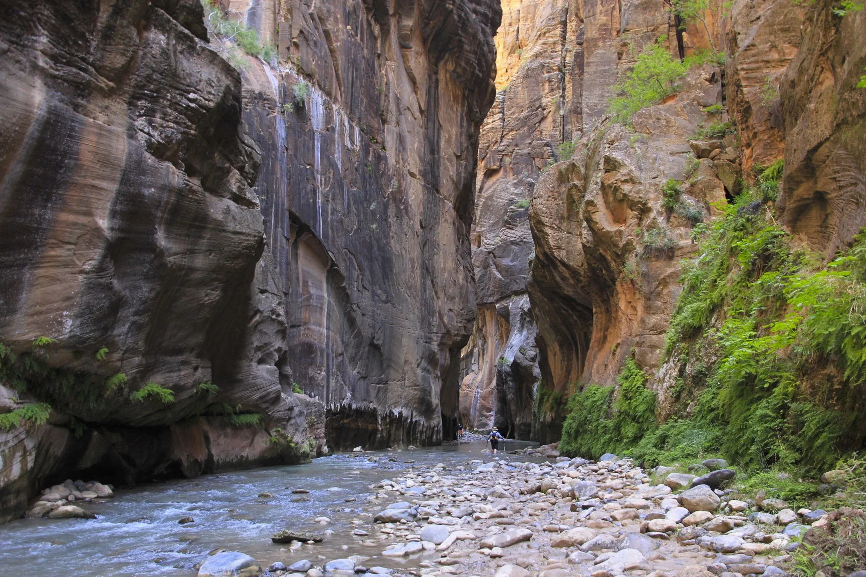 Hiking the Narrows of the Virgin River in the Zion NP