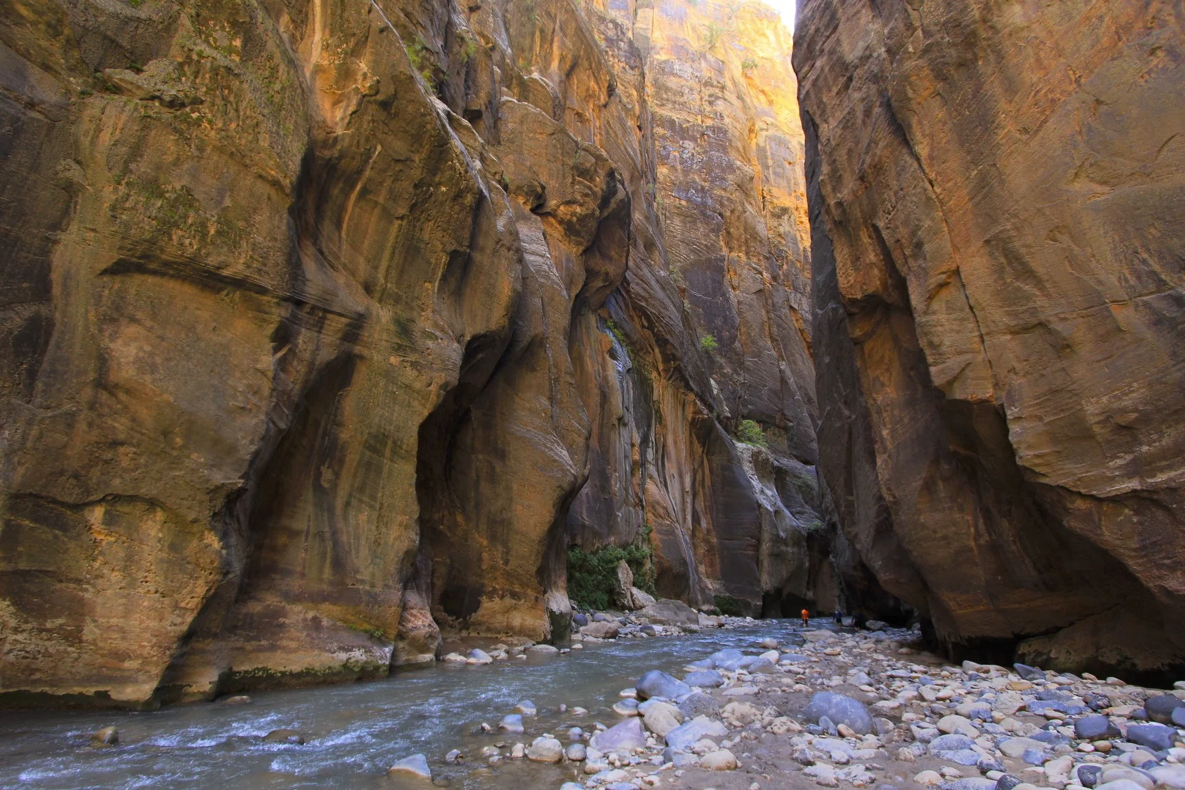 In the Narrows