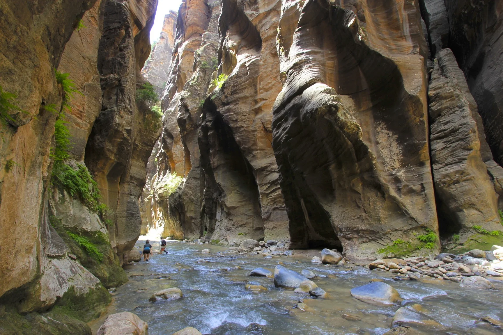 One of the tight sections of the Narrows