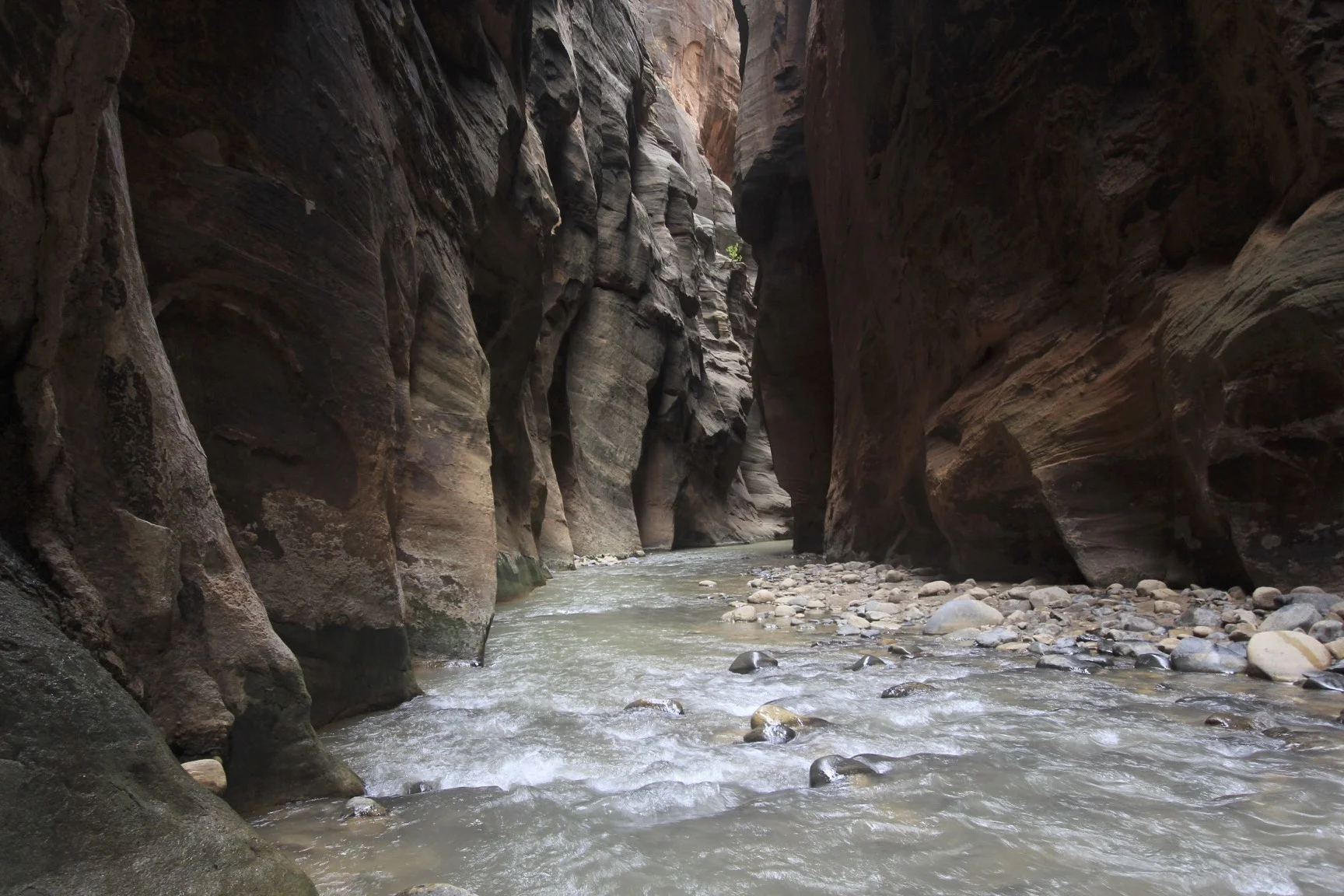 Virgin River and the Narrows