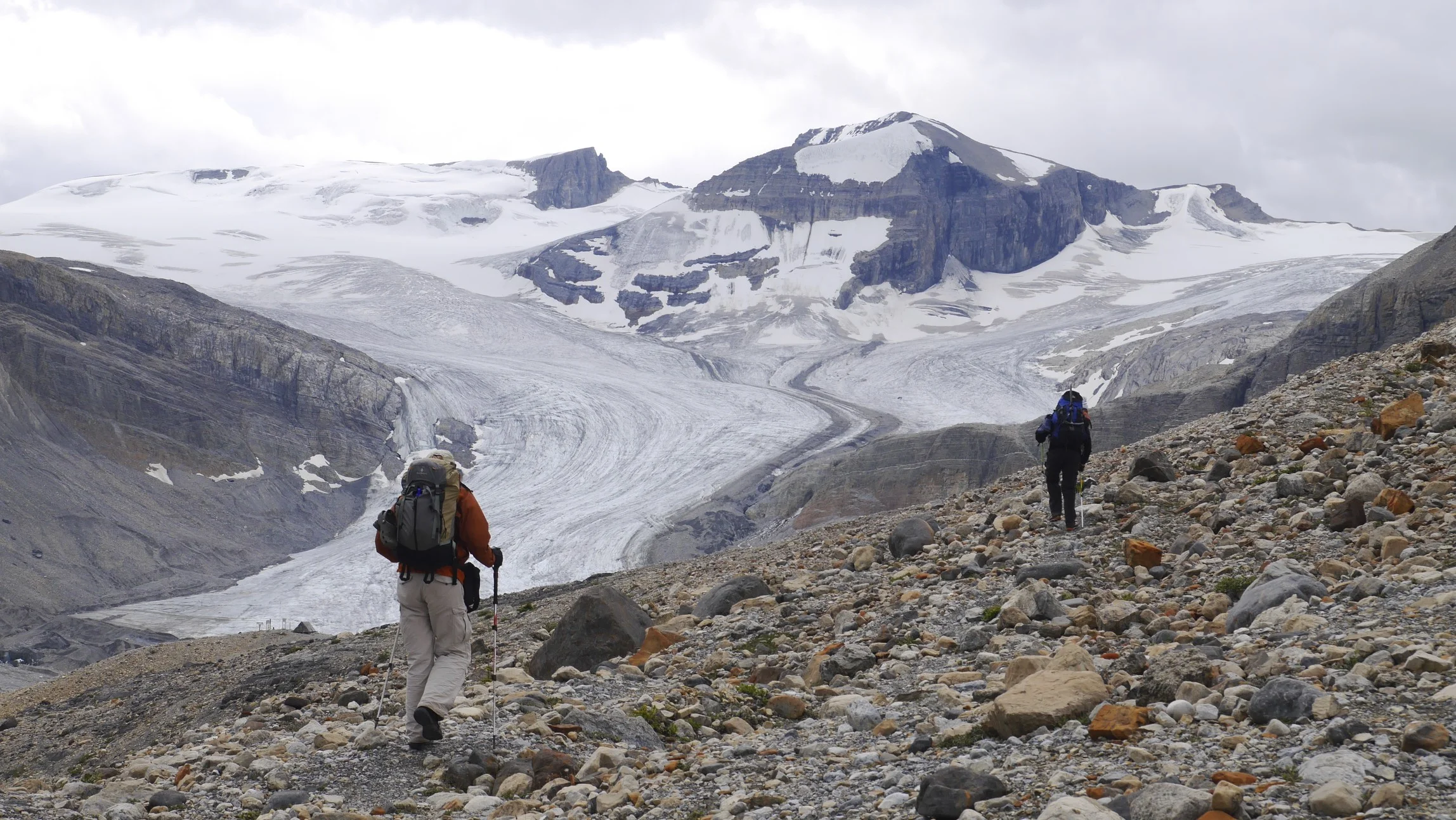 Peyto Glacier