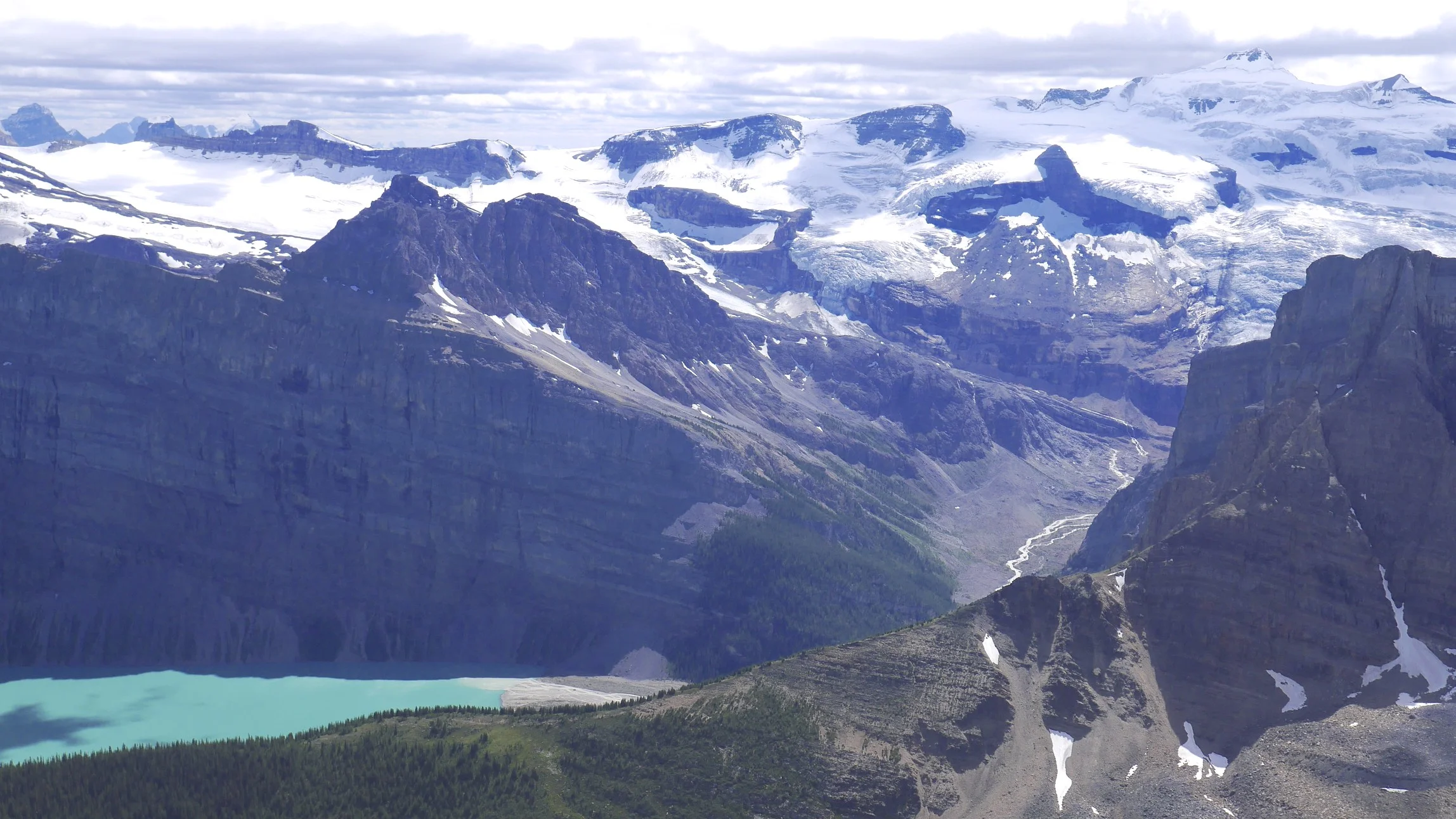 Wapta Icefield from Bow Peak