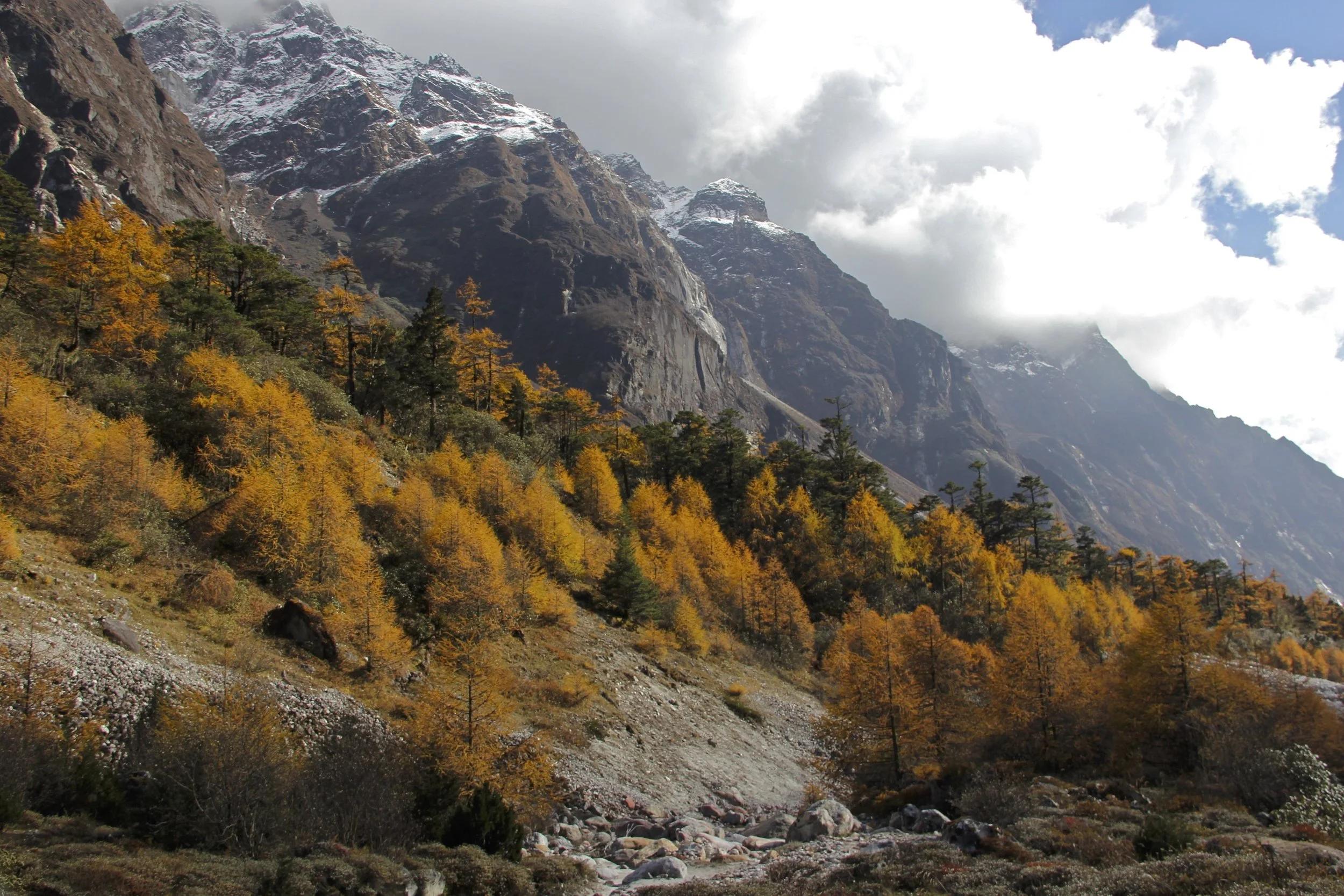 Looking back down the Ghunsa Valley.