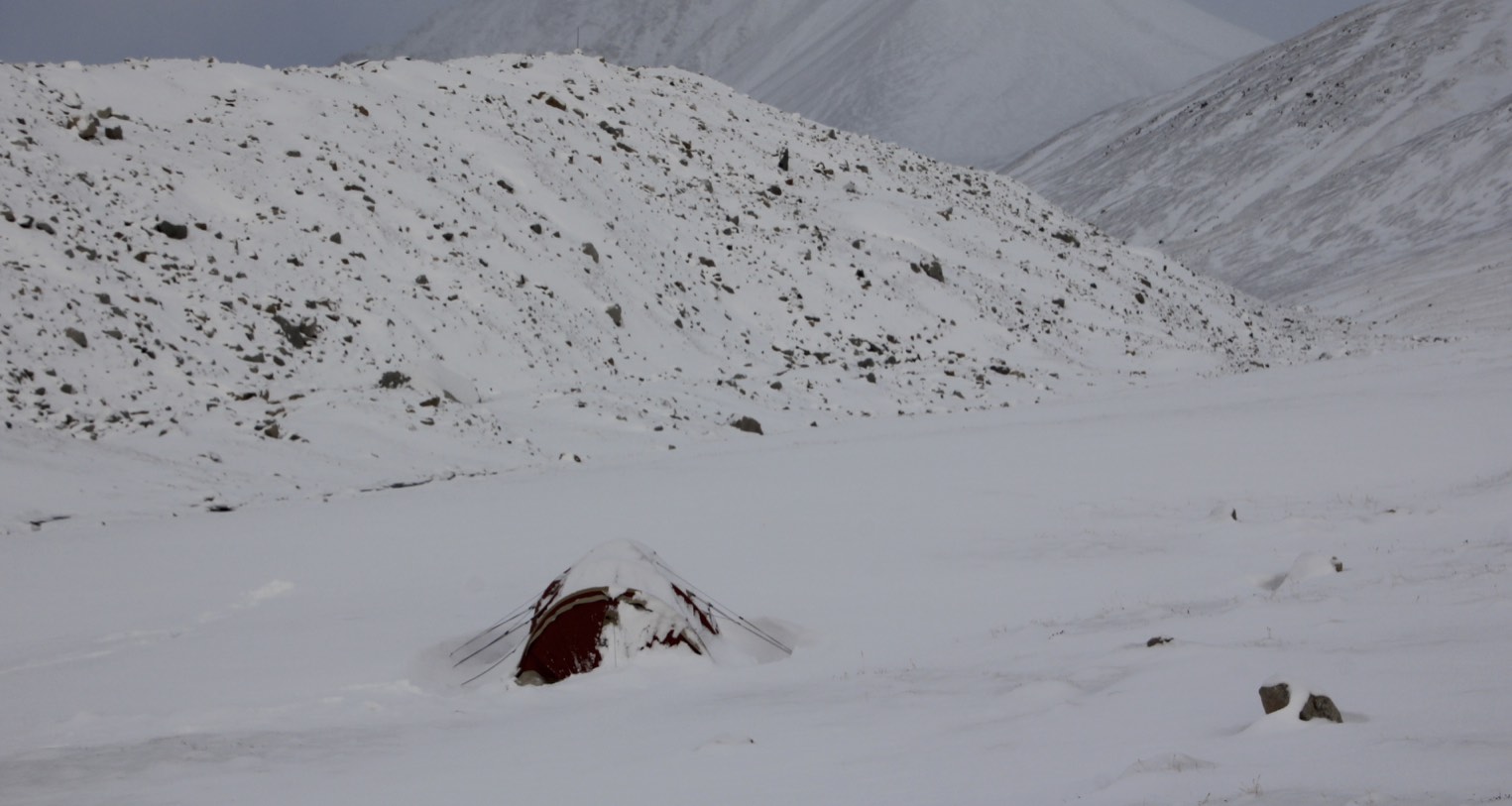Buried!