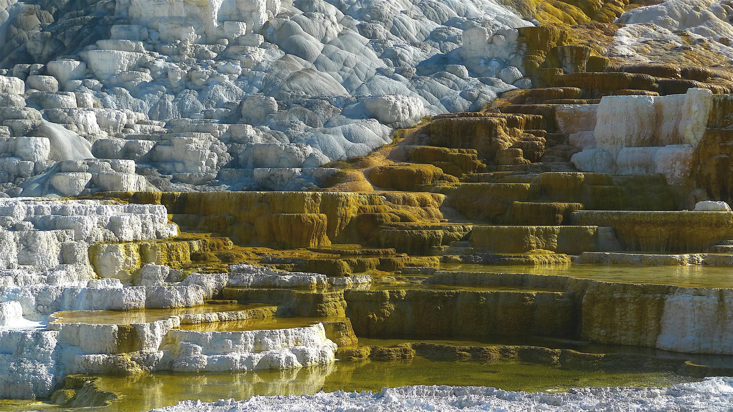 Mammoth Springs
