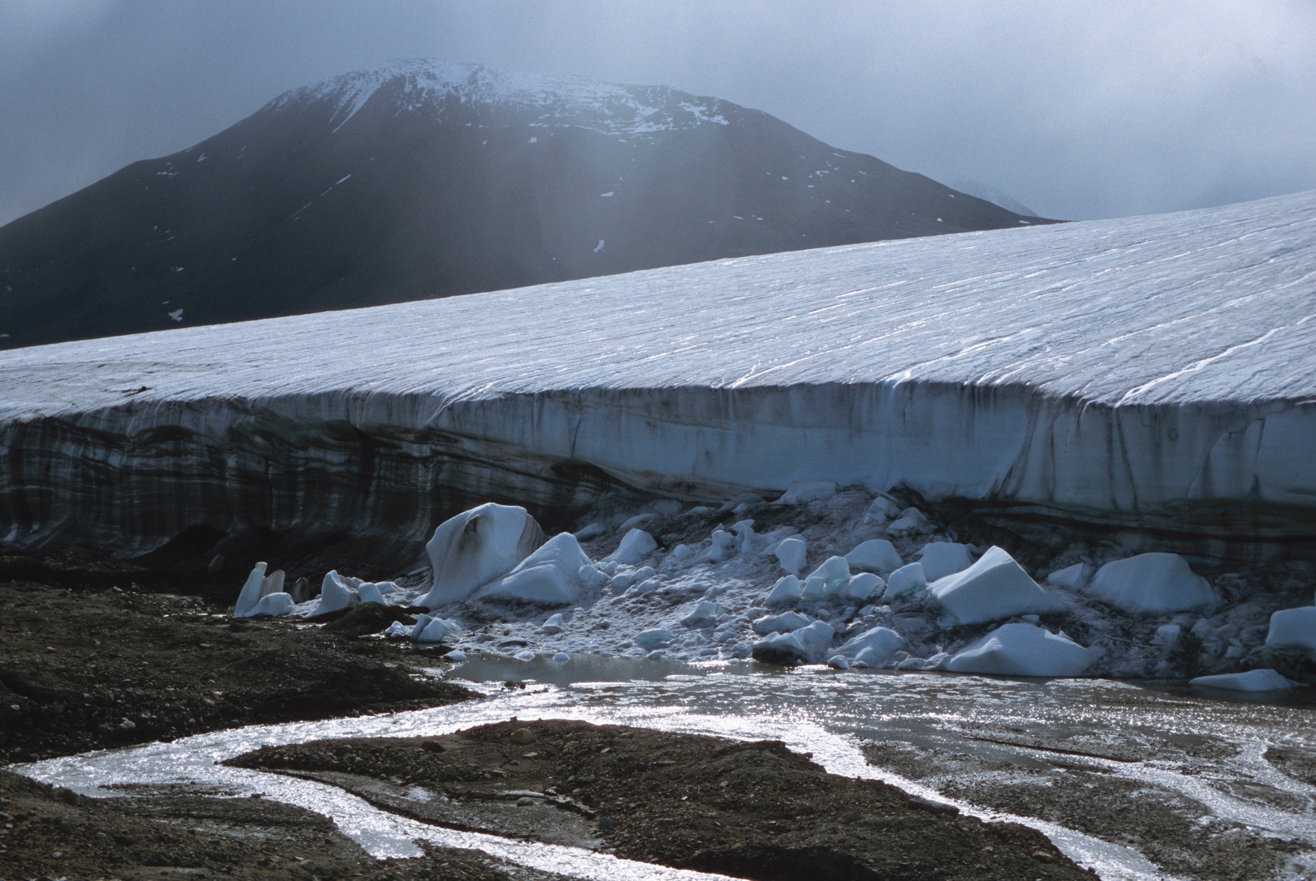 Turnstone Glacier
