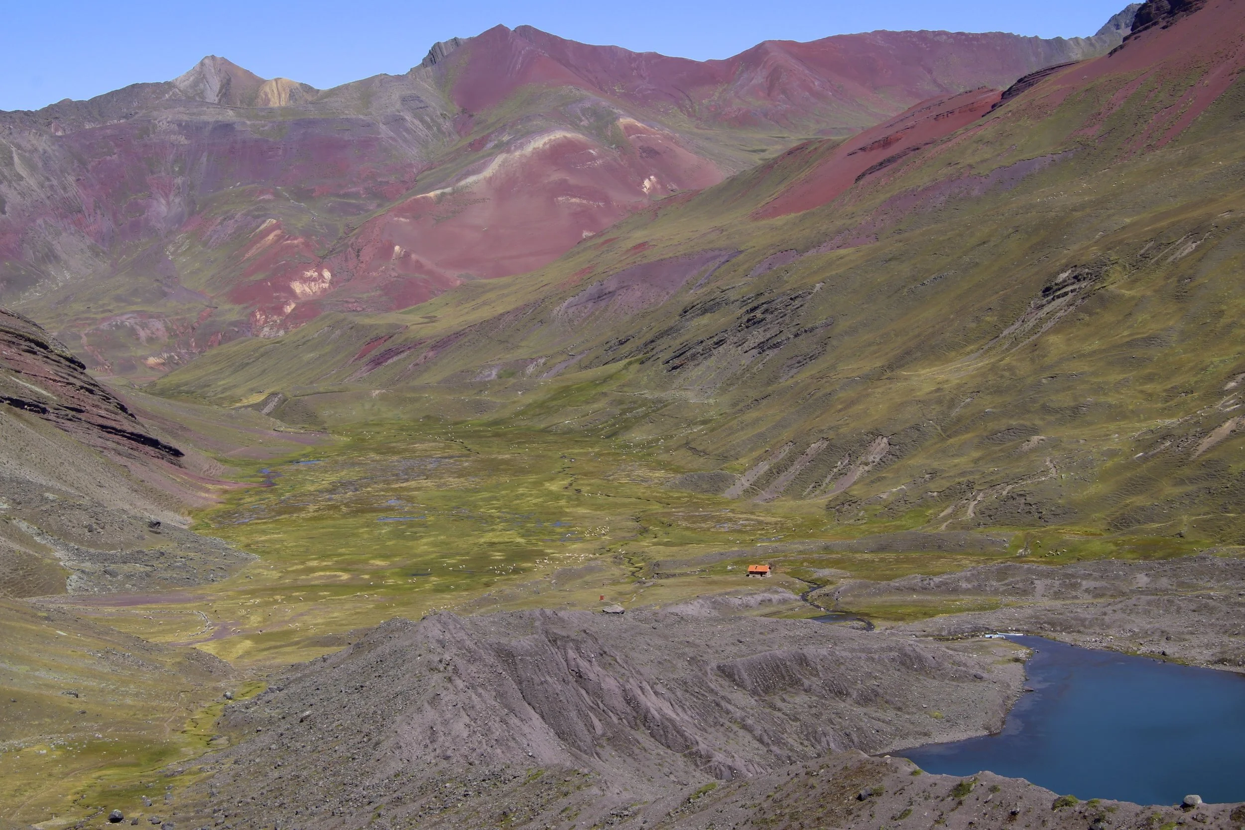 From the Apacheta Pass we had to descend 500m only to re-climb 800m to Palomani Pass 5,080m.