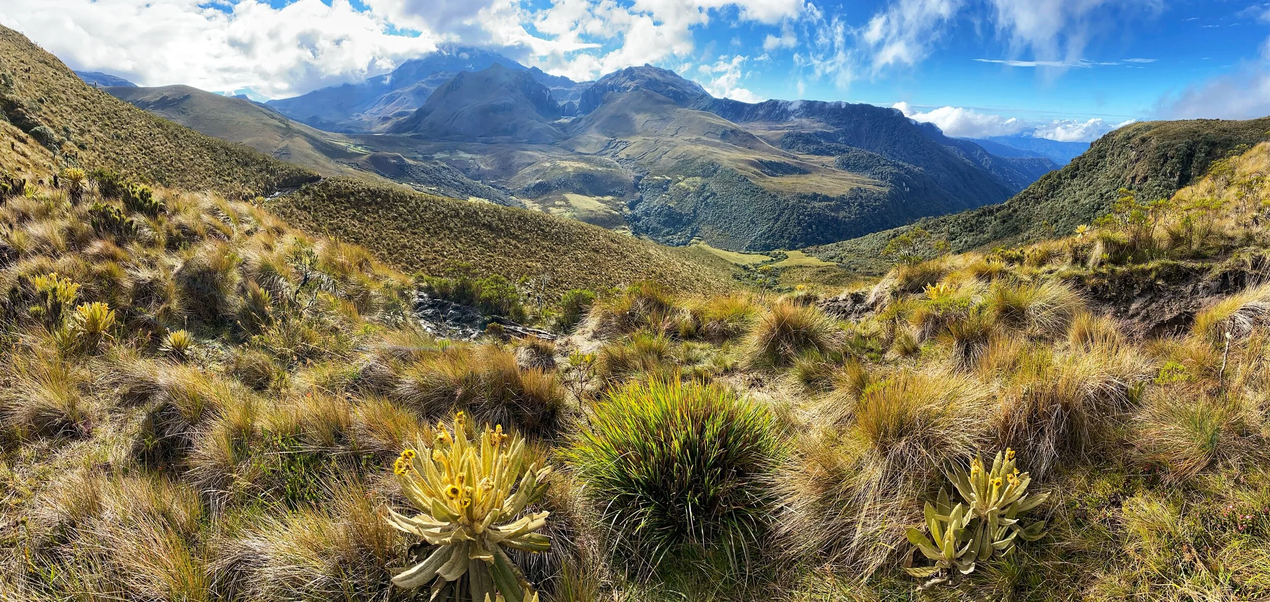 Colombia Los Nevados National Park