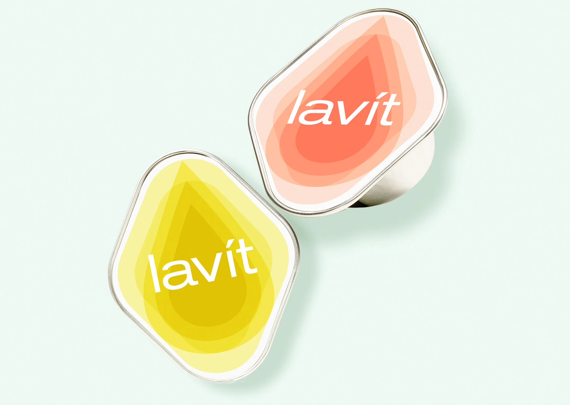 lavit_cover.jpg
